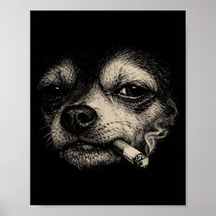 Rolig hund som röker cigarett Chihuahua-meme Poster