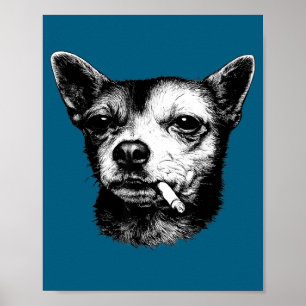 Rolig hund som röker cigarett Chihuahua-meme Poster