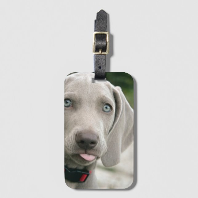 Rolig hund stift för Tunga ut-foto Bagagebricka (Framsida vertikal)