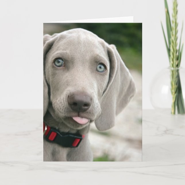 Rolig hund stift för Tunga ut-foto Kort (Framsida)