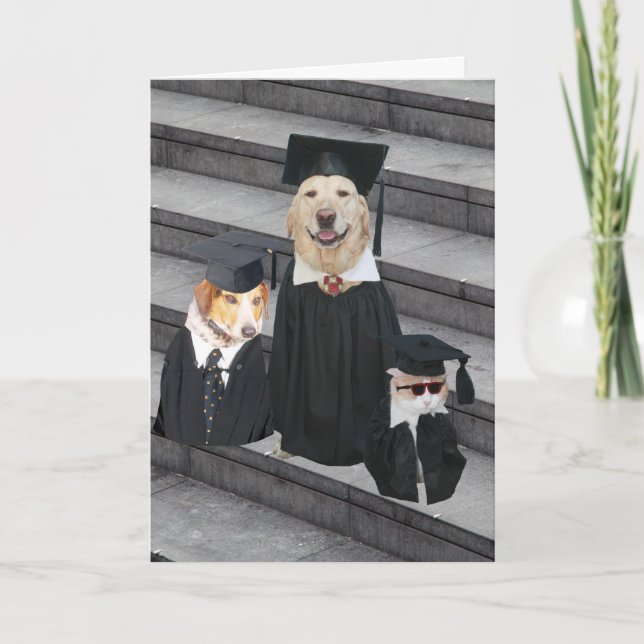 Rolig hund Studenten Kort (Framsida)