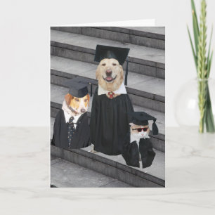 Rolig hund Studenten Kort