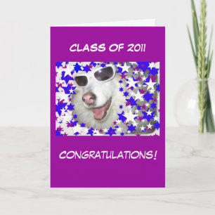 Rolig hund Studenten på Lila Kort