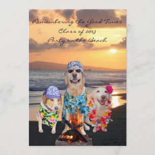 Rolig hund studentfest på strandinbjudan inbjudningar
