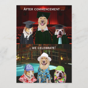 Rolig hund studentfestinbjudan inbjudningar