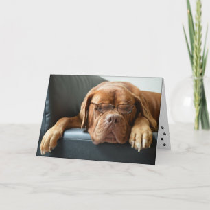 rolig hund tanke om dig kort