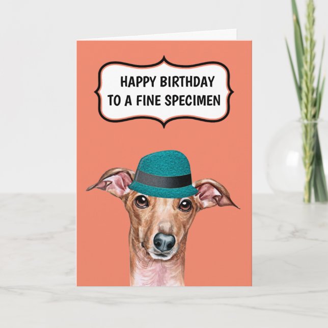 Rolig hund till far mor bra vin humor kort (Framsida)