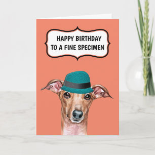 Rolig hund till far mor bra vin humor kort