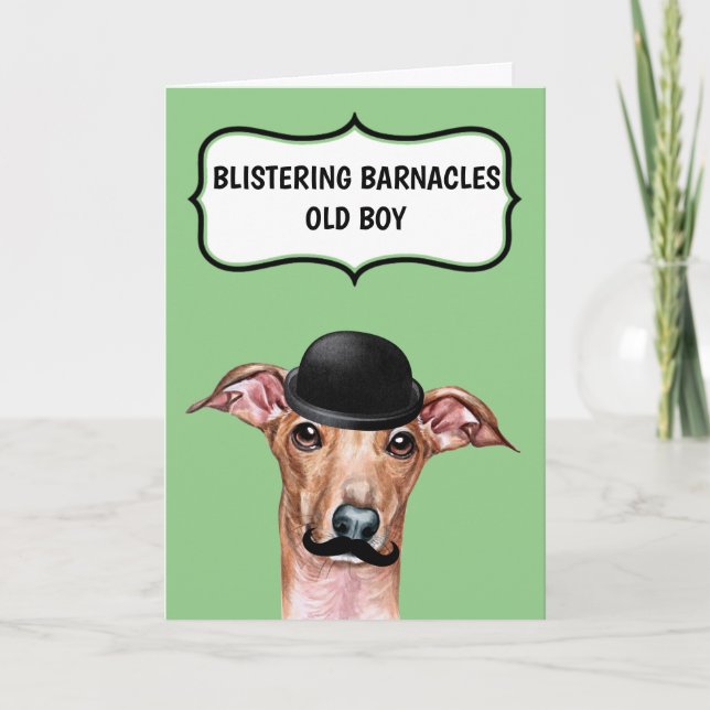 Rolig hund till far vän ett år till kort (Framsida)