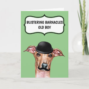 Rolig hund till far vän ett år till kort