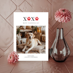Rolig hund Valentineser för Xoxo Pawprint Retrieve Julkort