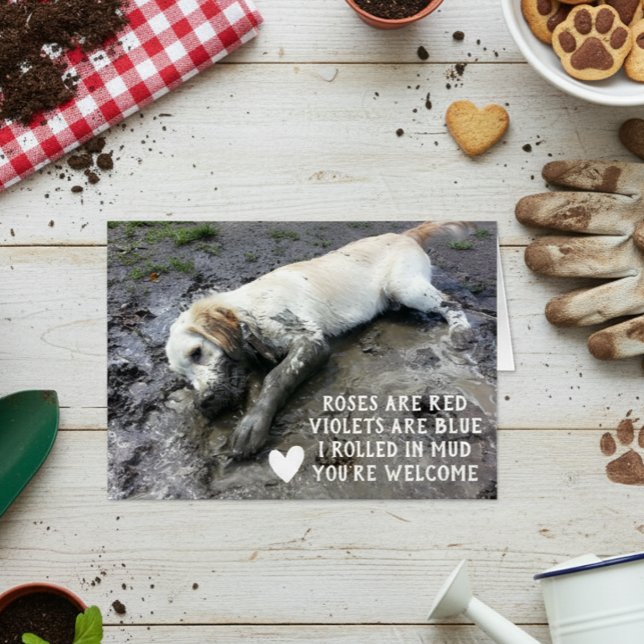 Rolig Hund Valp Alla Hjärtans Dag Meme Hälsningskort (Skapare uppladdad)