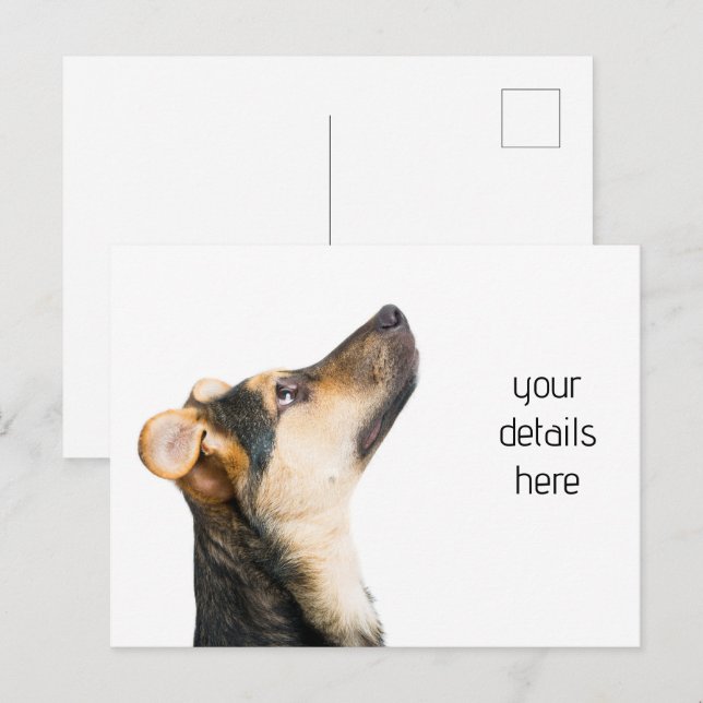 Rolig hund valp vykort (Fram/baksida)