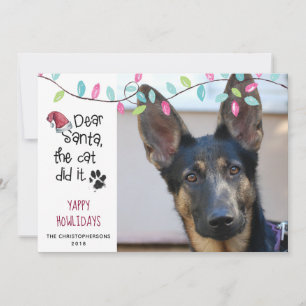 Rolig hundcitat   Pastelljus   Foto Julkort