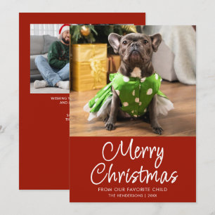 Rolig husdjursfoto God Jul Familj Julkort