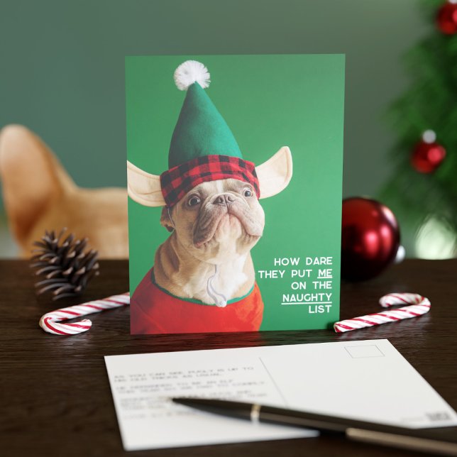 Rolig husdjursfoto jul helgpostkort vykort (Your pup would never be on the naughty list I'm sure)