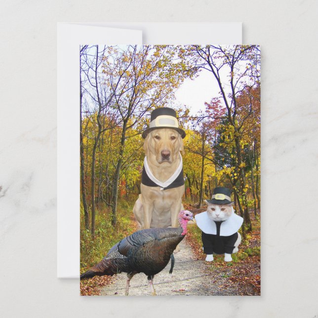 Rolig husdjurthanksgivinginbjudan inbjudningar (Framsida)