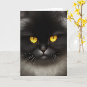Rolig Ilsken Fluffig Svart Persisk Kattres Kitty K Kort