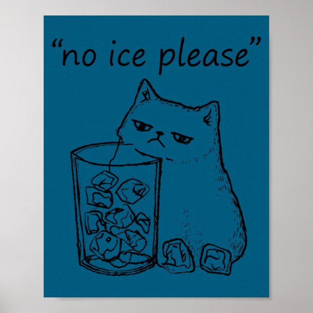 Rolig Inget Is Vänligen Katt Meme Poster (Framsidan)