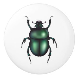 Rolig insekten knopp