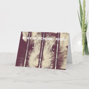 Rolig inspirera råtta i fängelse kort