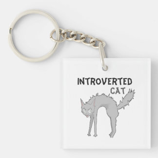 Rolig introvert kattnyckelring | present till vän