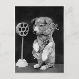 Rolig JACK RUSSELL Terrier hund spelar banjo Vykort