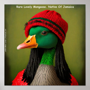 Rolig jamaicansk mangust reggae gås poster