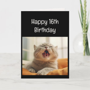 Rolig jamande kattunge 16-årsdag Djurhumor Kort