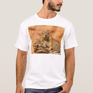 Rolig jordekorre som ljuger på en sten tee