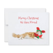 Rolig jul för budgetkatt som flyttar ny adress