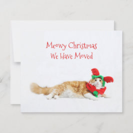 Rolig jul för budgetkatt som flyttar ny adress