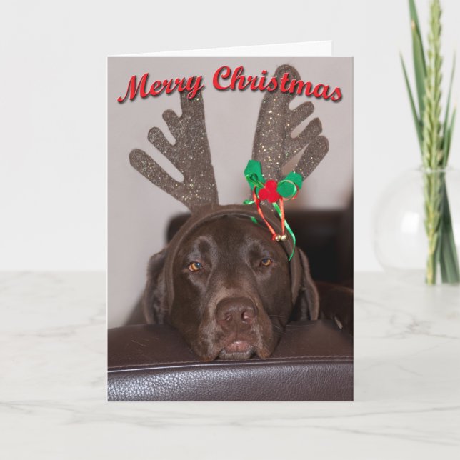 Rolig jul-labrador med glitterhorn helgkort (Framsida)