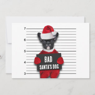 Rolig jul Mugshot med Busiga Tomtehund Julkort