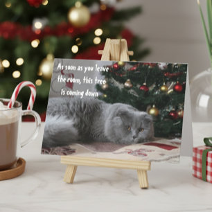 Rolig julgran för katt som är arg hälsning helgkort