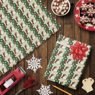 Rolig Julgran Inspektion Trefärgad Katt Julfirande Presentpapper