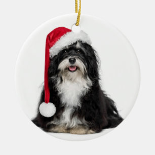 Rolig julHavanese hund med den Santa hatten Julgransprydnad Keramik