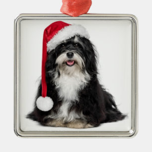 Rolig julHavanese hund med den Santa hatten Julgransprydnad Metall