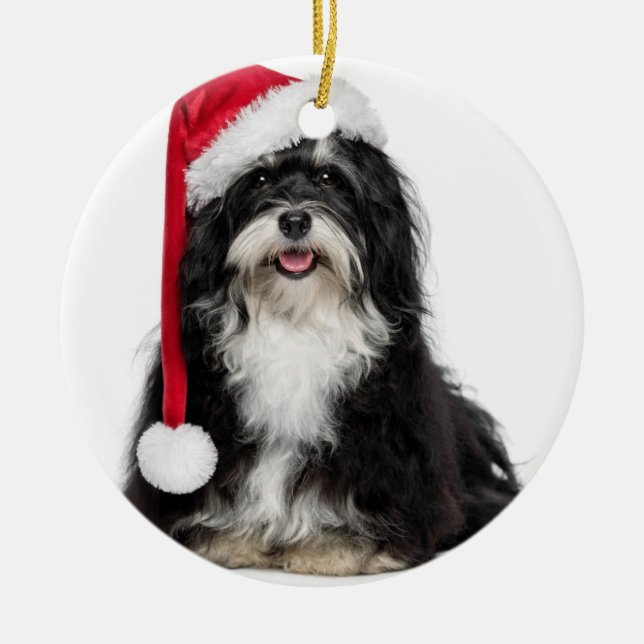 Rolig julHavanese hund med den Santa hatten Julgransprydnad Metall (Framsidan)