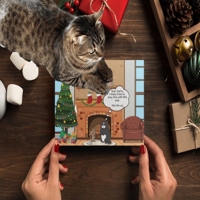 Rolig julhumor Bah Hum Katt Semestern Postkort Helg Vykort (Skapare uppladdad)