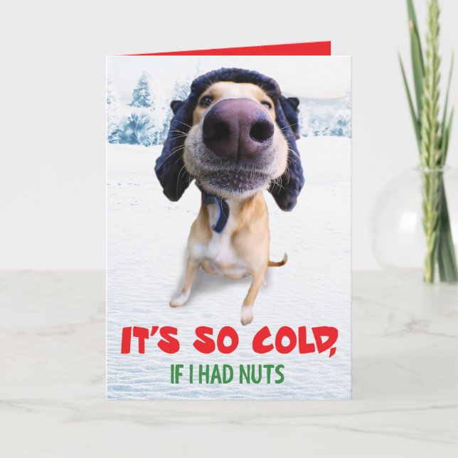 Rolig Julkort Hund Teddy den Spastiske Mannen Helgkort (Framsida)