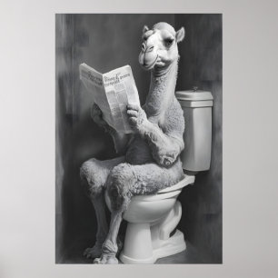 Rolig Kamel Badrumstryck, Tidning Toalett Poster