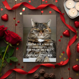 Rolig katt Alla hjärtans dag meme Anti-Alla hjärta Hälsningskort