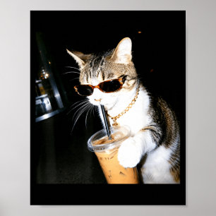 Rolig Katt Dricker Iced Coffee Humor Meme Kattunge Poster