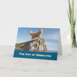 Rolig katt från Gibraltar Kort