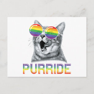 Rolig Katt Gay Pride Regnbåge Solglasögon HBTQ Vykort