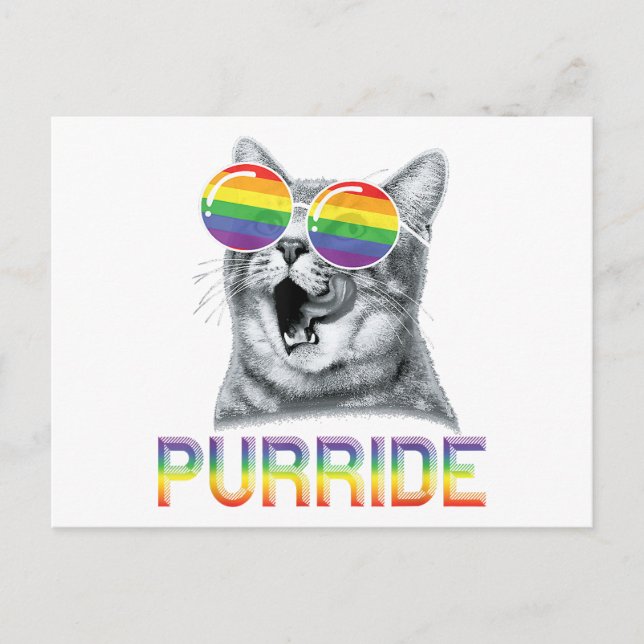 Rolig Katt Gay Pride Regnbåge Solglasögon HBTQ  Vykort (Framsida)