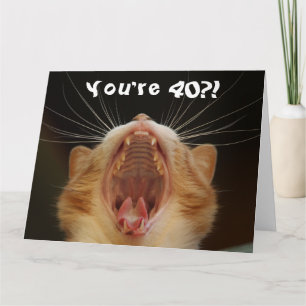 Rolig Katt Glad 40-årsdag Kort