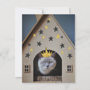Rolig katt Humor Guld Glitter Bling Krona Söt Kort