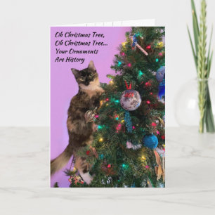Rolig katt i träd spanar på julgransprydnader jul kort